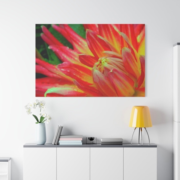 The Art of Photography on Canvases